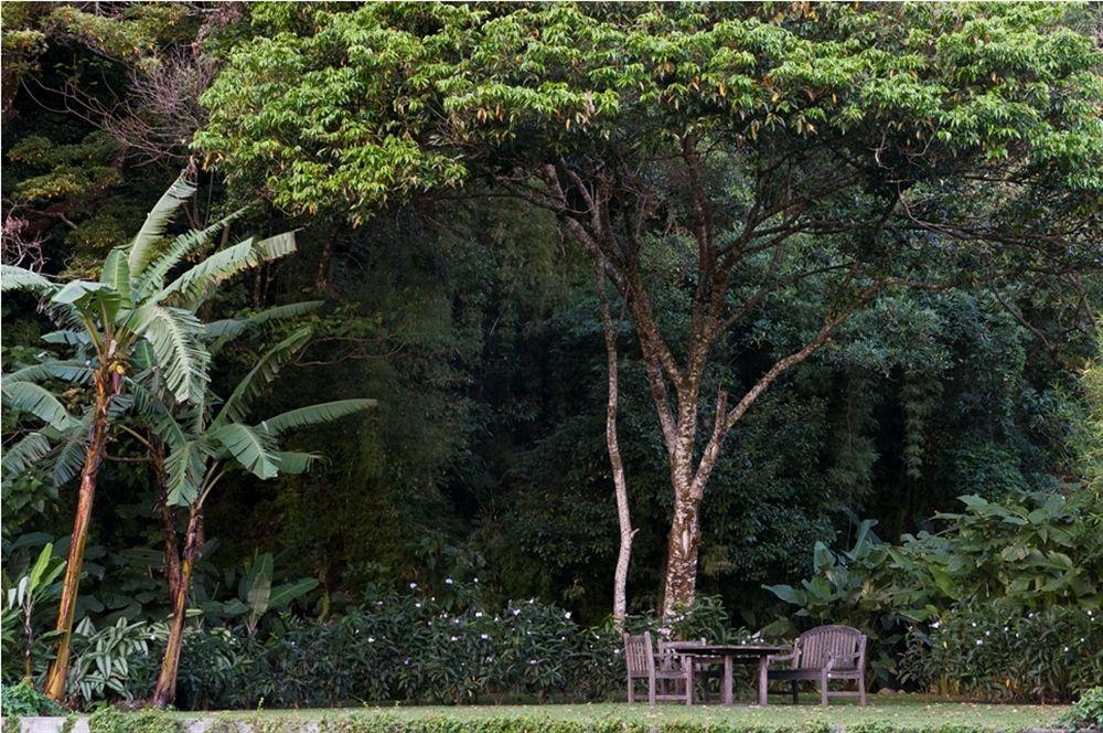The Haven - Hotel & Spa, - Adults Only Boquete Exterior foto